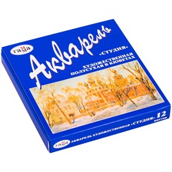 Краски художественные акварельные 12 цв. "Студия" (215002, "Гамма") кюветы