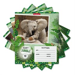 Тетрадь 12л. ErichKrause клетка "Baby Jungle" (48832) обложка - мелованный картон