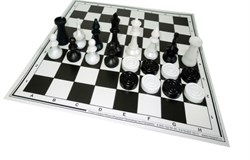 Шахматы, шашки, 2 в 1, пластиковые обиходные, с картонной доской 30*30см (02-26) король -  70мм, пешка - 40мм