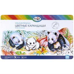 ! РАСПРОДАЖА Карандаши ГАММА "Классические" 36цв. диам. грифеля 3,3мм, (80220215) в метал. пенале