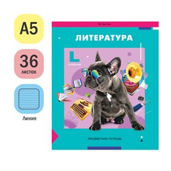 Тетрадь 36л. ПЯТЬ В КВАДРАТЕ "Литература" (Тп36л_47969, ArtSpace) эконом