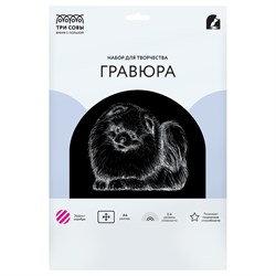 Гравюра с эффектом серебра А4 "Шпиц" (GA4_48279, ТРИ СОВЫ)