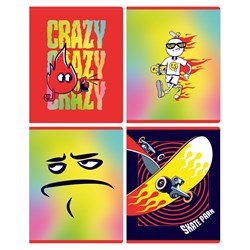Тетрадь 48л. BG "Crazy" клетка (Т5ск48 12273)