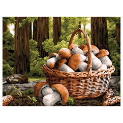 Картина по № на холсте 40*50см "Грибное лукошко" (КХ4050_53901) ТРИ СОВЫ, с акрил. красками. РАСПРОДАЖА - последний экземпляр!