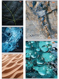 Тетрадь 48л. Remix ЭКОНОМ "Природа вблизи" клетка (48-3910) типогр. бумага