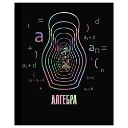 Тетрадь 48л. ТОЧКА РУ "Алгебра" (ТП5ск48_лм_тф 56378, BG) матовая ламинация, тиснение фольгой, блок 70г/м2