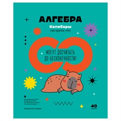 Тетрадь 40л. ЗАПИСКИ ШКОЛЬНИКА "Алгебра" (ТПск40 12813, BG)