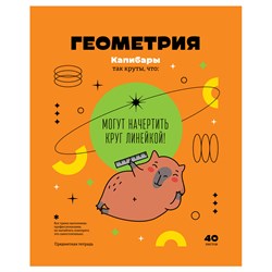 Тетрадь 40л. ЗАПИСКИ ШКОЛЬНИКА "Геометрия" (ТПск40 12823, BG)