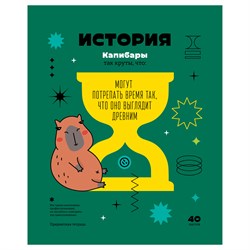 Тетрадь 40л. ЗАПИСКИ ШКОЛЬНИКА "История" (ТПск40 12816, BG)
