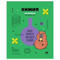 Тетрадь 40л. ЗАПИСКИ ШКОЛЬНИКА "Химия" (ТПск40 12814, BG)