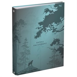 Тетрадь 120л. на кольцах "Не сдавайся", сменный блок (ТТ5к120_лм 62921, "BG") матовая ламинация
