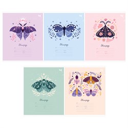 Тетрадь 12л. BG узкая линия "Бабочки" (Т5ск12 64141)