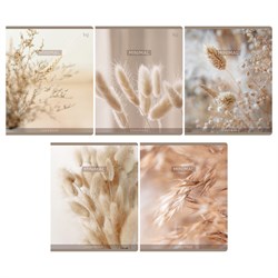 Тетрадь 48л. BG "Сухоцветы" клетка (Т5ск48 64168)