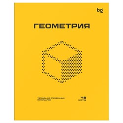 Тетрадь 48л. ПЕРФОКАРТА "Геометрия" (ТПск48_пл 63808, BG) пластик.обложка
