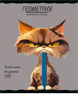Тетрадь 48л. ПРО ХВОСТ "Геометрия" (48-2463, Prof-Press) обложка - мелованный картон, фактурное тиснение