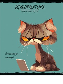 Тетрадь 48л. ПРО ХВОСТ "Информатика" (48-2478, Prof-Press) обложка - мелованный картон, фактурное тиснение