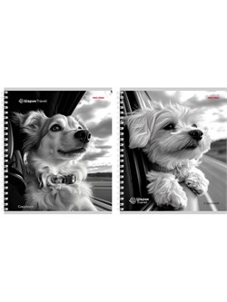 Тетрадь  96л. на спирали Prof-Press "Собаки в поезде", клетка (Т96-4887)