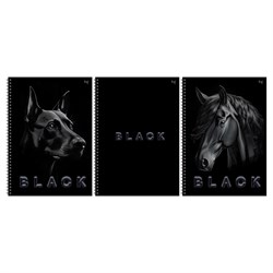 Тетрадь 80л. А4 на спирали BG "Just black", клетка (Т4гр80_лс_вл 08657) soft-touch ламинация, выб. лак