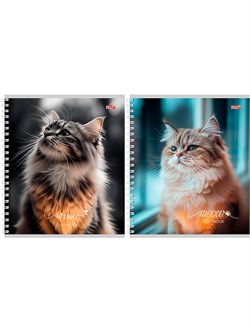 Тетрадь 96л. на спирали Profit "Пушистые котики -1" клетка (Т96-4852)