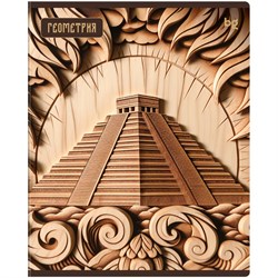 Тетрадь 48л. ДЕРЕВО ЗНАНИЙ "Геометрия" (ТП5ск48_лс 63904, BG) soft-touch ламинация