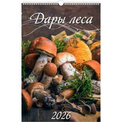 Календарь настен. перекид., с ригелем, 320*480мм, 2026г. "Дары леса" (0526050)