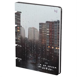 Тетрадь 120л. на кольцах "За окном", сменный блок (ТК5к120_лм_вл 57860, "BG") матовая ламинация, выб. лак