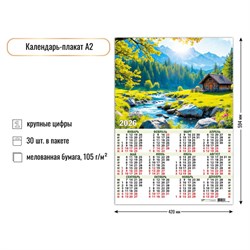 Календарь - плакат А2, 2026г. "Природа" (9606)