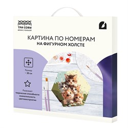 Картина по номерам на фигурном холсте 30см "Пять милых котят" форма "многоугольник" (FCF30_00011) ТРИ СОВЫ, с акриловыми красками