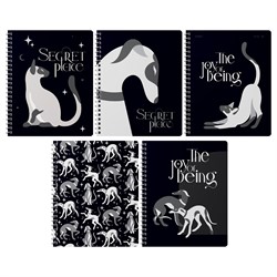 Тетрадь 80л. на спирали BG "Secret Place", клетка (Т5гр80_лм_вл_тф 12087) матовая ламинация, выб. лак, тиснение фольгой