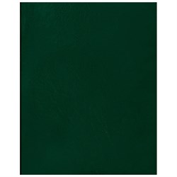 Тетрадь 96л. А4 BG ЭКОНОМ бумвинил, клетка (Т4бв96кЭ_12343) зеленая