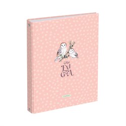 Тетрадь 120л. на кольцах "White enigma", сменный блок (ТТ5к120_лм 11358, "BG") матовая ламинация