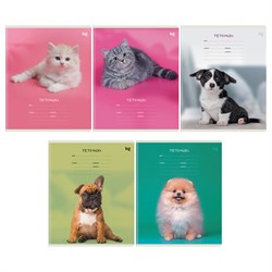 Тетрадь 12л. BG клетка "Little animal" (Т5ск12 08880) обложка - мелованный картон