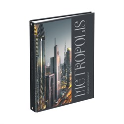 Тетрадь А4, 160л. на кольцах "Мегаполис", сменный блок (ТТ4к160_лм 11357, "BG") матов. ламинация