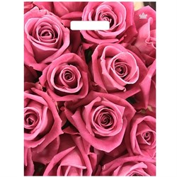 Пакет с выруб. ручкой 310*400мм "Джейми" (н00292235" 60мкм