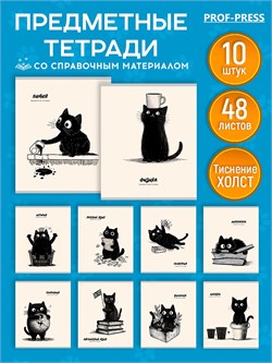 Комплект тетрадей 48л. "BAD CAT" - 10 предметов (48-4493, Prof-Press) тиснение "холст"