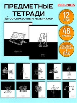 Комплект тетрадей 48л. "EQUILIBRIUM"- 12 предметов (48-4499, Prof-Press) матовая ламинация, выб. лак