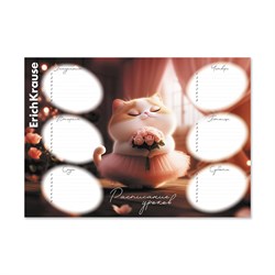 Расписание уроков А4 "Prima Cat" (65307, "ErichKrause") мелованный картон 170г/м2