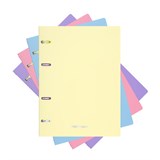 Тетрадь  80л. на кольцах "Pastel", сменный блок (50164, "ErichKrause") пластиковая обложка