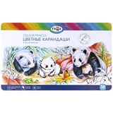! РАСПРОДАЖА Карандаши ГАММА "Классические" 36цв. диам. грифеля 3,3мм, (80220215) в метал. пенале