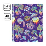 ! РАСПРОДАЖА Дневник тв. об., 1-11 кл. "Сказочный" (Д5т40_лм_тгф 11480, BG) матовая ламинация, тиснение голографической фольгой