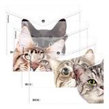 Папка с кнопкой A4 ErichKrause "Hiding Cats" с рисунком, прозрачная (61155) 160 мкм