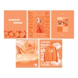 ! РАСПРОДАЖА Тетрадь 48л. BG "Apricot" клетка (Т5ск48_лм 12721) мат. ламинация