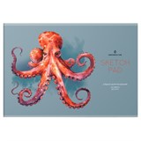 ! РАСПРОДАЖА Альбом для рисования Greenwich Line 24л. на скрепке, 120 г/м "Octopus" (PS24s-59515) обложка картон