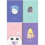 ! РАСПРОДАЖА Тетрадь  80л. на спирали MESHU "Cat book" клетка (MS_53955) двойная обложка, матовая ламинация, тиснение фольгой