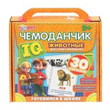 Развивающие карточки "IQ чемоданчик. Развивающие карточки" 30 шт. (ш/к55580, 375016 "Умные игры")