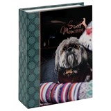 Фотоальбом "ArtSpace" 100 фото, 10*15 (РА100_66508) "Best friend"