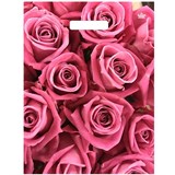 Пакет с выруб. ручкой 310*400мм "Джейми" (н00292235" 60мкм