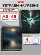Тетрадь  48л. на спирали Prof-Press "Завораживающие пейзажи -2", клетка (48-8618) - фото 313810