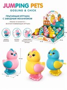 Заводной цыпленок 9,5см (662-45A) 3 цвета, по 12шт. в шоубоксе