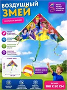 Воздушный змей 100*50см "Принцессы / Хол. сердце" (R13841) в пакете